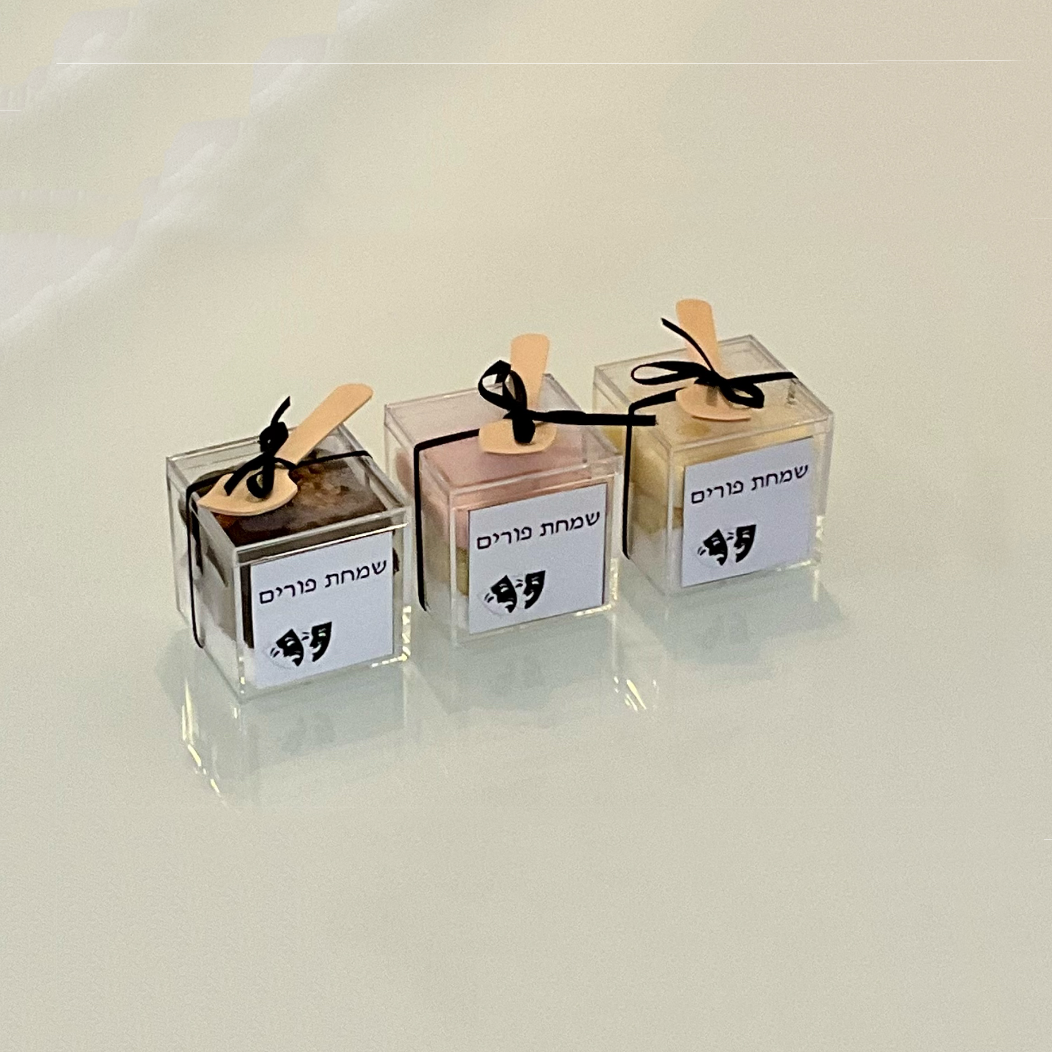 Acrylic Boxes Purim-12