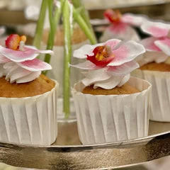 45_medium.jpg?v=1630546039