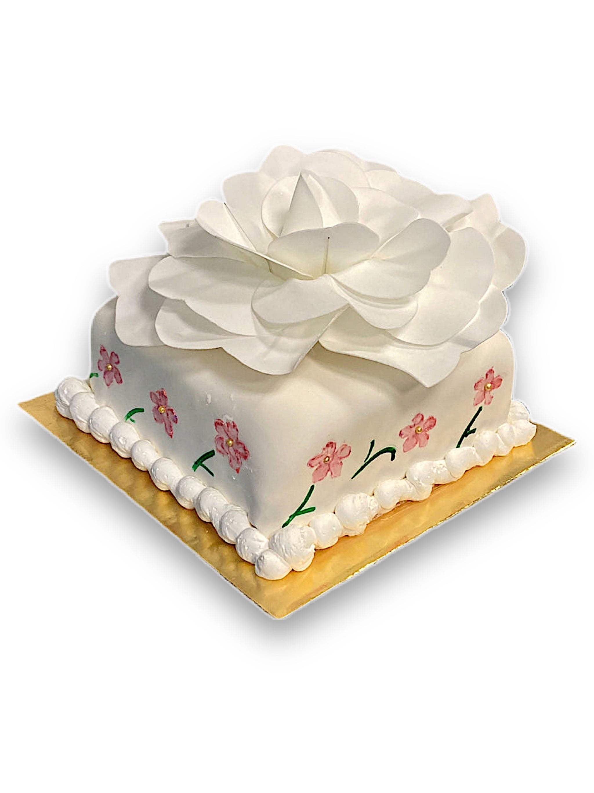 SQUARE PAINTED CAKE – Hollanders Cakes